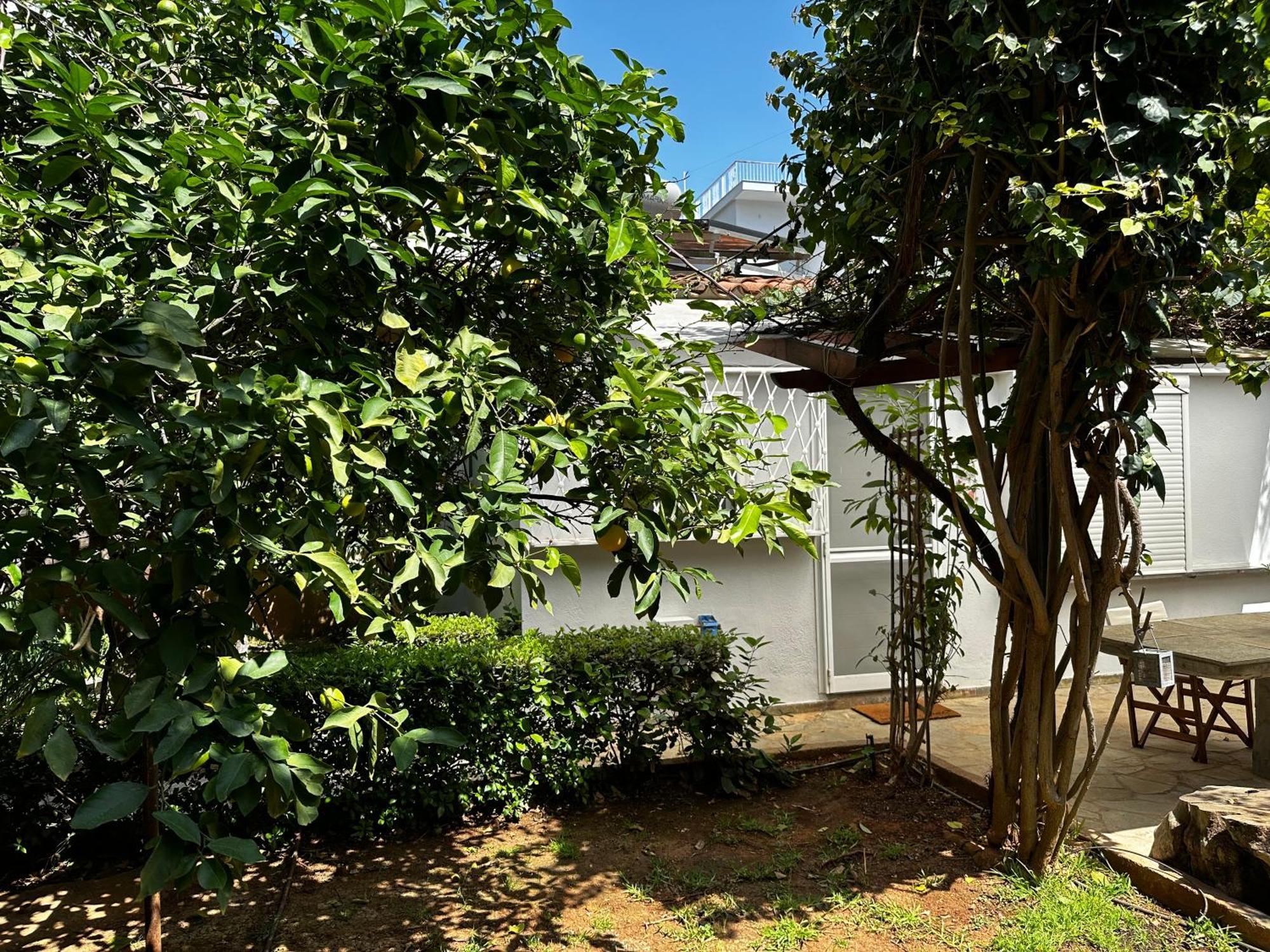 Antonis'S Garden House Lejlighed Athen Eksteriør billede